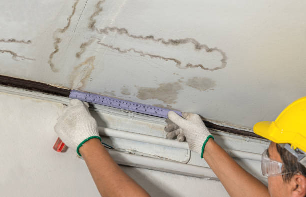 Reliable Water Damage Repair contractor in Ashton, MD by Hirex Water Damage